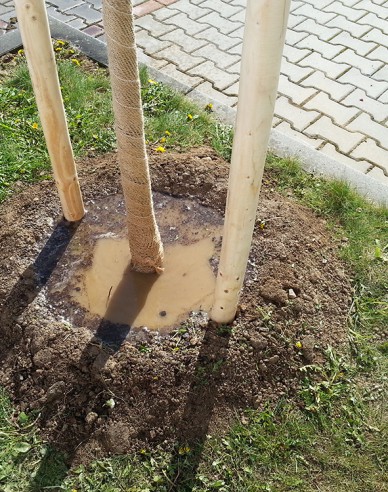 Podpěrný kůl s hrotem o průměru 5 cm - výška 250 cm