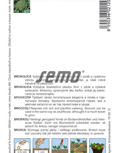 Semo brokolice ´Steel F1´