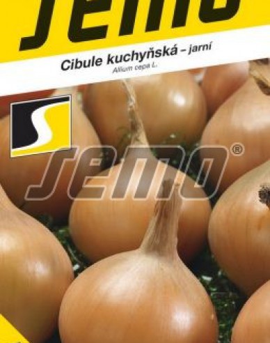 Semo Cibule kuchyňská ´Aeneus F1´