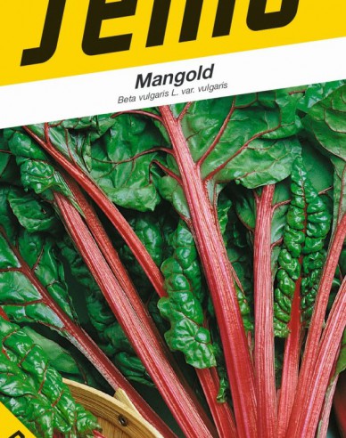 Semo Mangold ´Rhubarb Chard´