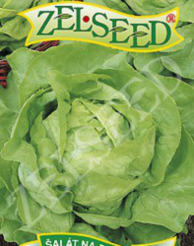 Zelseed Salad pro urychlení ´Sapphire´