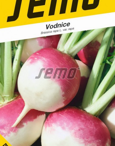 Semo  Vodnice ´Purple Top White´