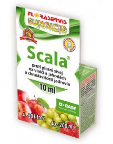 SCALA 10ml