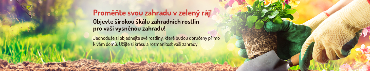 Všeobecny rastliny CZ - Stromo.cz